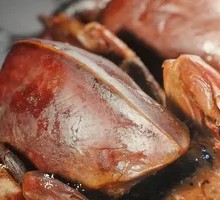 Aluminum-Wrapped Pigeon