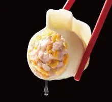 Pork and Sauerkraut Dumplings