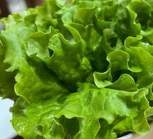 Romaine Lettuce