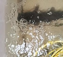 Stewed Fish in Iron Pot