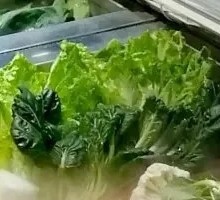 Napa cabbage