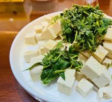 Fiddlehead Fern and Tofu Salad