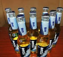 Snowflake Brave Journey