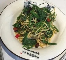 Health-Preserving Wild Greens