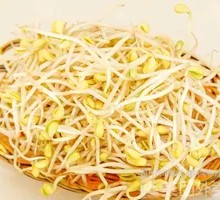 New Bean Sprouts
