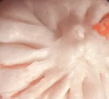 Orleans Chicken Wrap