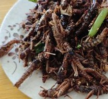 Fried Locusts