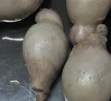 Sheep testicles