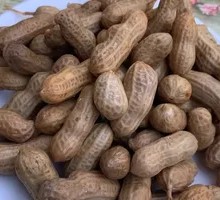 Boiled Peanuts