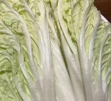 Napa cabbage