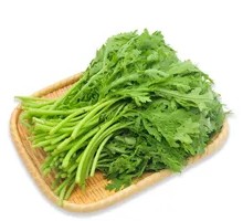 Chinese chrysanthemum greens