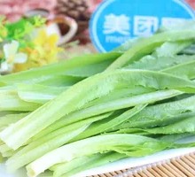 Oilseed lettuce