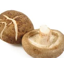 Shiitake Mushroom