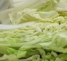 Chinese cabbage