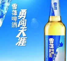 Snowflake Brave Journey