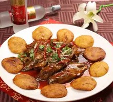 Golden Pancake Carp Head