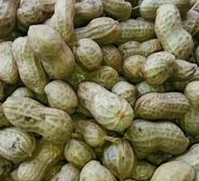 Boiled Peanuts