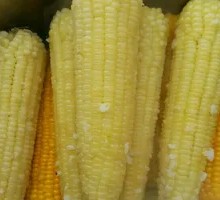 Sweet Corn