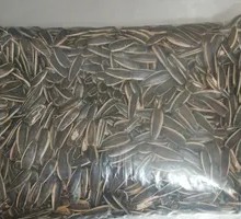 Original Flavor Watermelon Seeds