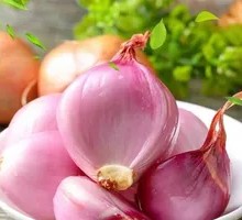 Northeast Small Scallion