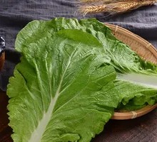 Chinese Cabbage Leaves