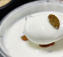 自制新疆口味酸奶