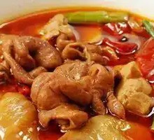 Blanched Pig Intestine