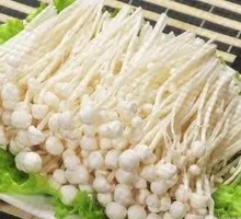 Enoki Mushroom