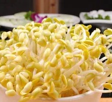 Mung Bean Sprouts