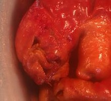 Happy Secret-Style Pig's Trotter