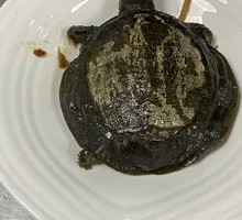 Braised Softshell Turtle