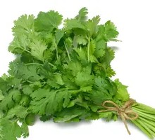 Whole Coriander