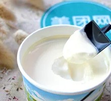 Handmade Old Yogurt