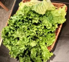 Romaine Lettuce