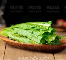 Oilseed lettuce