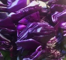Purple Cabbage