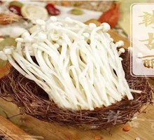 Enoki Mushroom