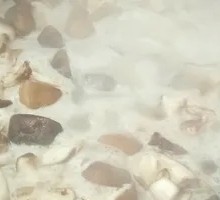 Donkey Meat and Scallion Dumplings