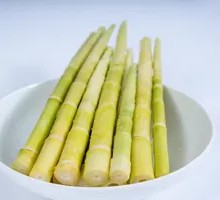 Bamboo Shoot Tips
