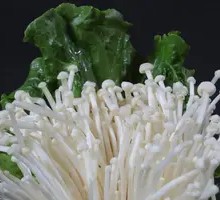 Enoki Mushroom
