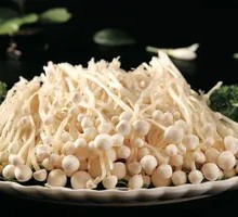 Enoki Mushroom
