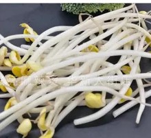 Bean sprouts