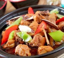 Stewed Chicken with Brown Sauce