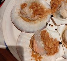 Scallop