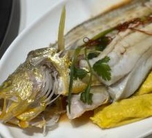 Large Yellow Croaker