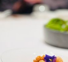 Mixed Seafood in Sauce