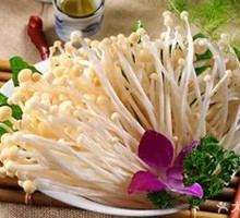 Enoki Mushroom