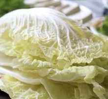 Napa cabbage