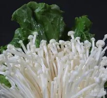 Enoki Mushroom