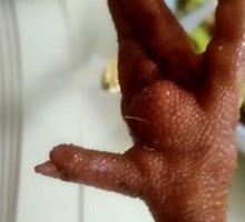 Eight Treasures Chicken Feet